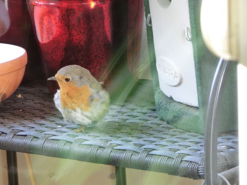 Möge der Kleine ein langes Leben haben. Möge der Kleine ein langes Leben haben.