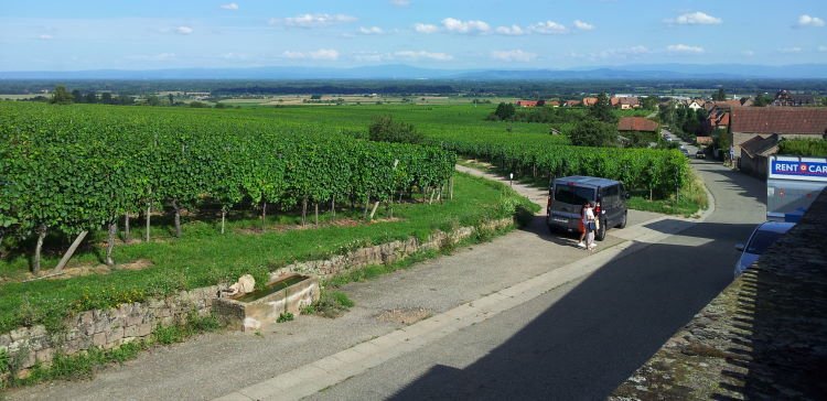 Blick von Saint-Hippolyte zum Schwarzwald