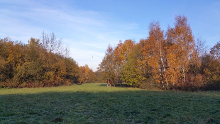 Herbstliche Wiesen mit einem schwebenden Ballon