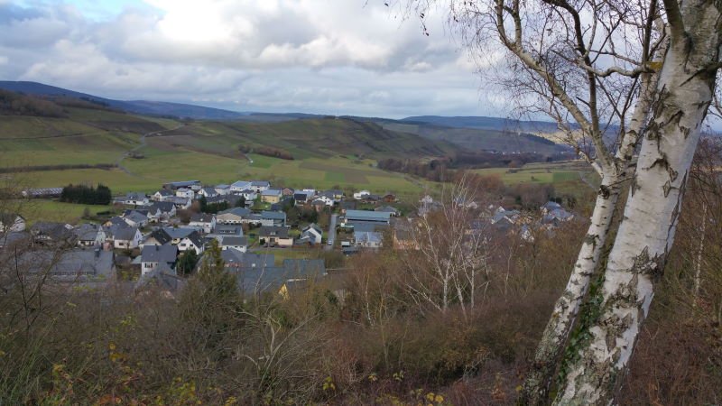 Romantische Weinberge in der Rheinland-Pfalz