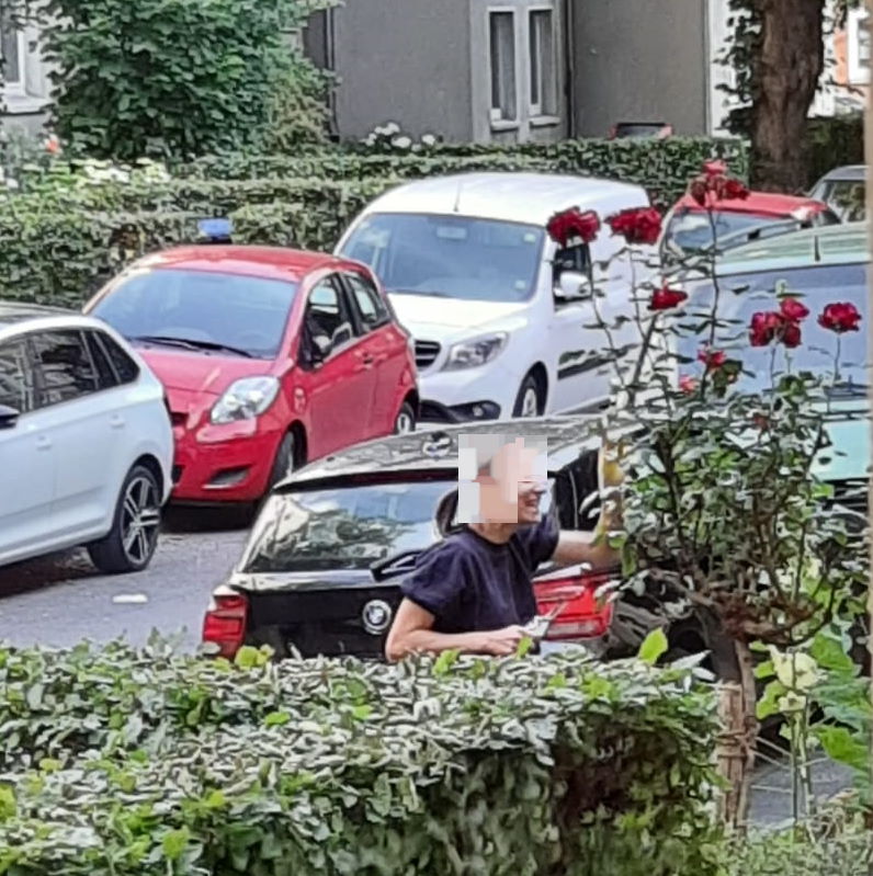 Rosen werden doch nicht im Juni geschnitten?!