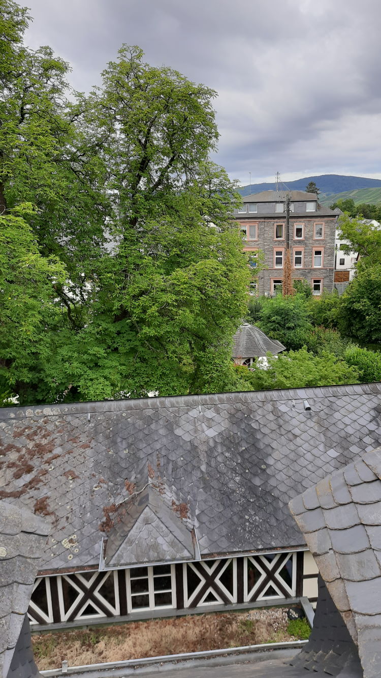 Mühlheim an der Mosel mit seinem schönen Umland