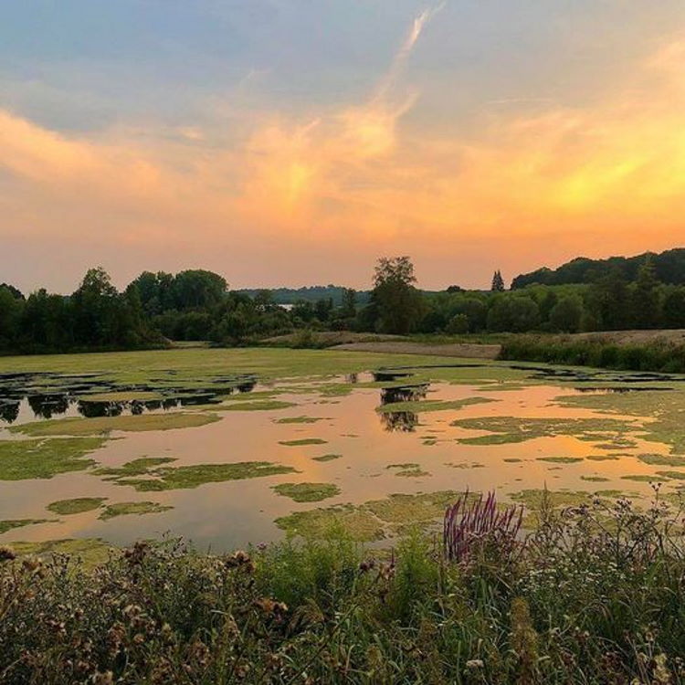 Die Oesewiesen in Menden (Sauerland) Die Oesewiesen in Menden (Sauerland)