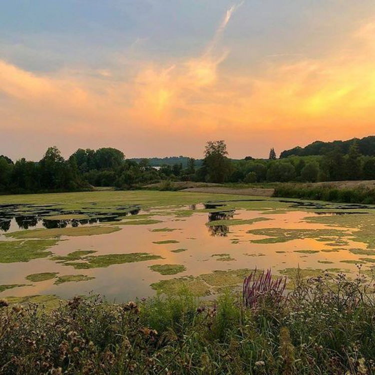 Die Oesewiesen in Menden (Sauerland)