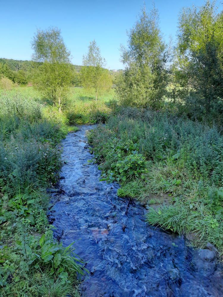 Ein schöner Bach im Sauerland