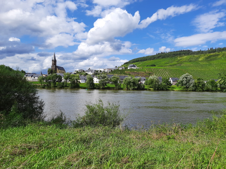 Am Fluss in Rheinland-Pfalz Am Fluss in Rheinland-Pfalz