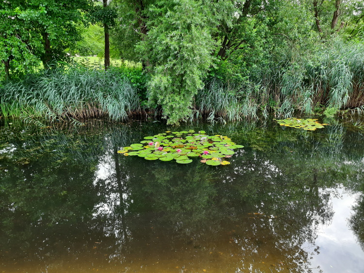 Ein kleiner See in Nordrhein-Westfalen