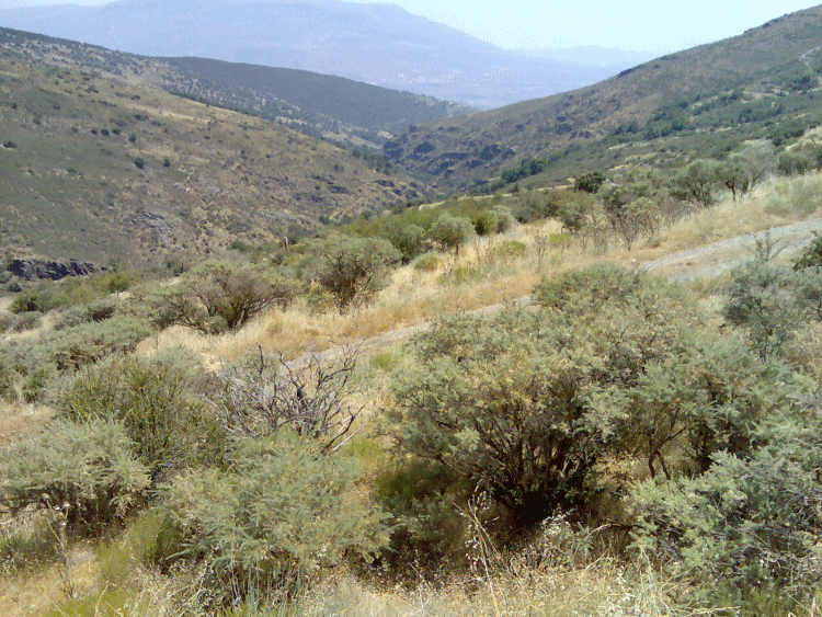 Herrlicher Ausblick in Spanien...